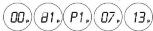 00p 81p P1p 07p 13p