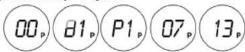 00p 81p P1p 07p 13p
