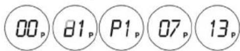 00p 81p P1p 07p 13p