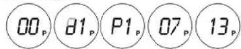 00p 81p P1p 07p 13p