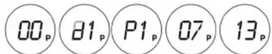 00p 81p P1p 07p 13p