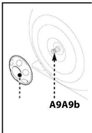 A9A9b