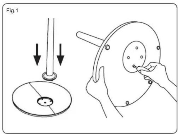 Fig.1