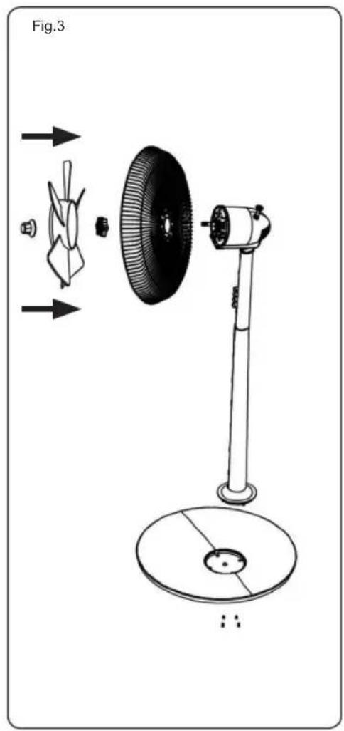 Fig.3
