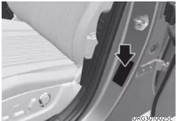 Genesis G80 (2021) - Tire Care - 1
