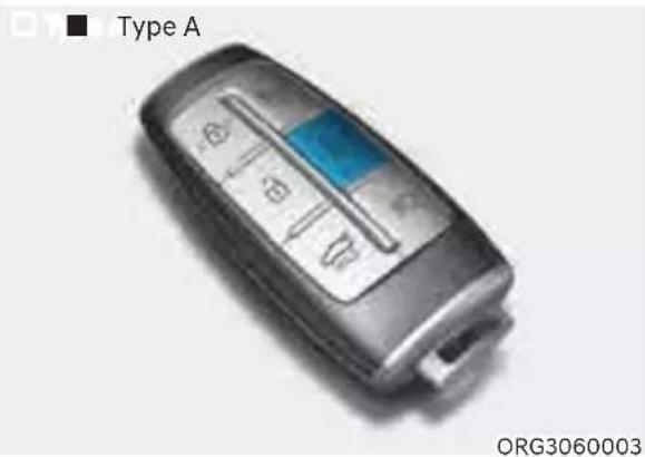 Genesis G80 (2021) - Remote Start - 1