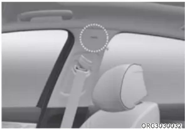 Genesis G80 (2021) - WARNING - 1