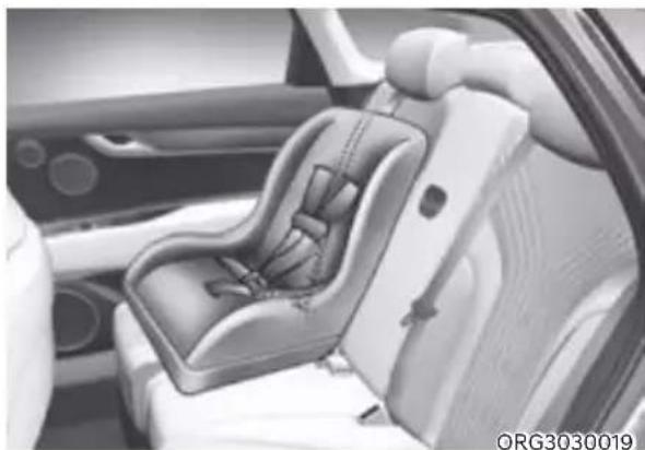 Genesis G80 (2021) - WARNING - 1