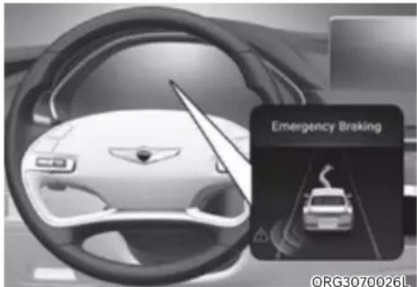 Genesis G80 (2021) - WARNING - 1