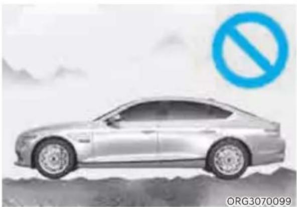 Genesis G80 (2021) - Limitations of the system - 3