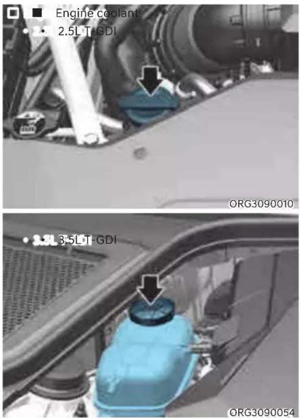 Genesis G80 (2021) - Checking the Coolant Level - 1