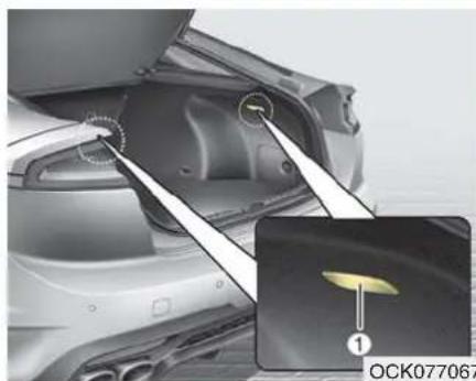 KIA Stinger (2021) - Luggage room lamp (LED type) bulb replacement - 1