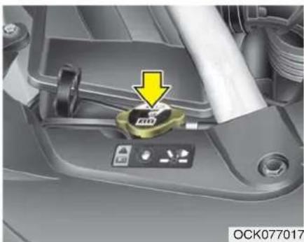 KIA Stinger (2021) - Recommended engine coolant - 1