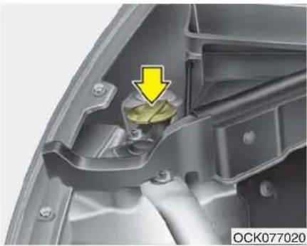 KIA Stinger (2021) - WASHER FLUID - 1