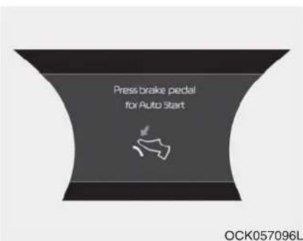 KIA Stinger (2021) - \*NOTICE - 1