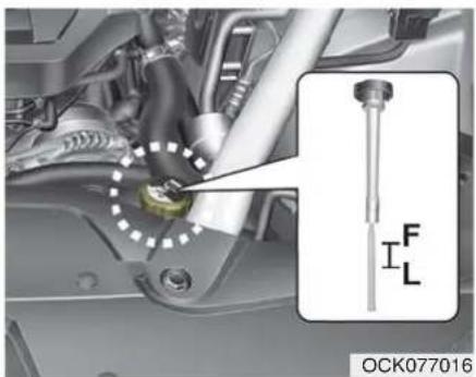 KIA Stinger (2021) - Removing radiator cap - 2