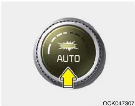 KIA Stinger (2021) - CAUTION - 1