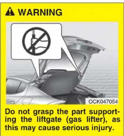 KIA Stinger (2021) - WARNING - 1