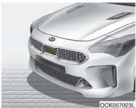 KIA Stinger (2021) - CAUTION - 2