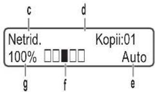 c d Netrid. 100% □□□□□ g f e Kopii:01 Auto