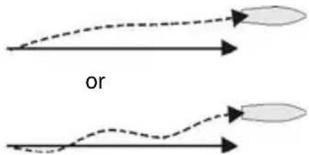 NAVMAN G-Pilot 3100 - Problem: drifts off course to one side - 1