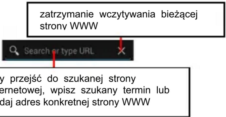 Navon MIZU D402 - ■ Pasek adresu i wyszukiwania - 1