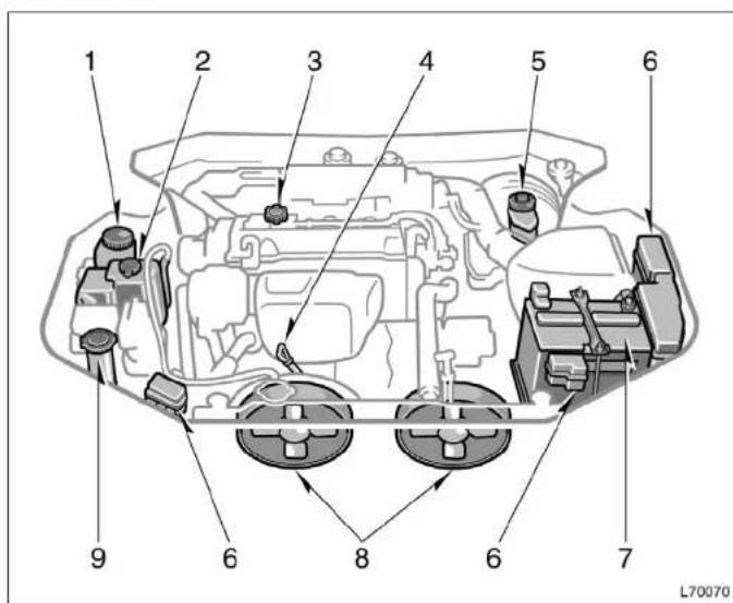 TOYOTA Camry (1999) - Engine compartment overview - 1