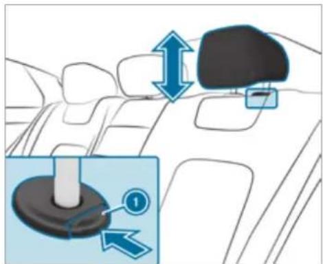 Mercedes-Benz AMG GT (2020) - Adjusting the front seat head restraints mechanically - 5