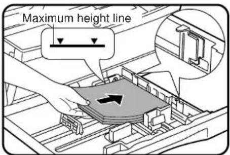 Maximum height line