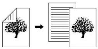 Diagram illustrating the transformation of a document to a document with tree-like shapes, likely representing a file or image processing workflow.