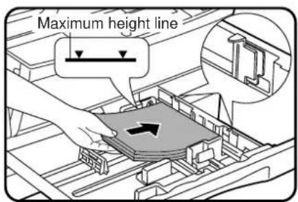 Maximum height line
