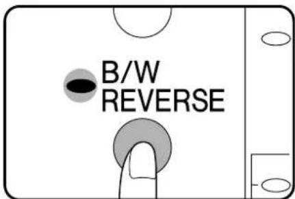 B/W REVERSE