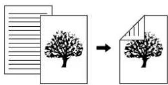 Diagram showing transformation of a tree icon into a blank document, with text lines indicating alignment or filtering.
