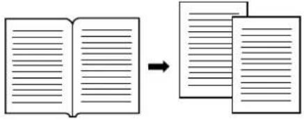 Diagram showing transformation of a blank document into two blank pages, illustrating the process's change.