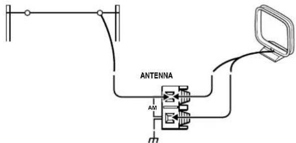 ANTENNA AM n