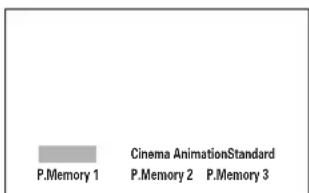 P.Memory 1 Cinema AnimationStandard P.Memory 2 P.Memory 3