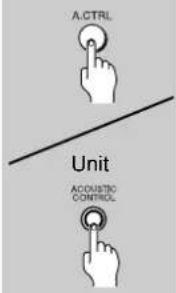 A.CTRL Unit ACOUSTRO CONTROL