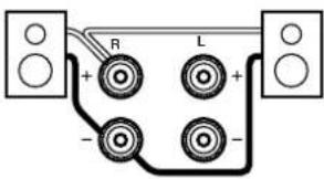 R L + - - -