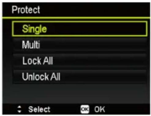 Protect Single Multi Lock All Unlock All Select OK OK