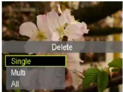 Delete Single Multi All