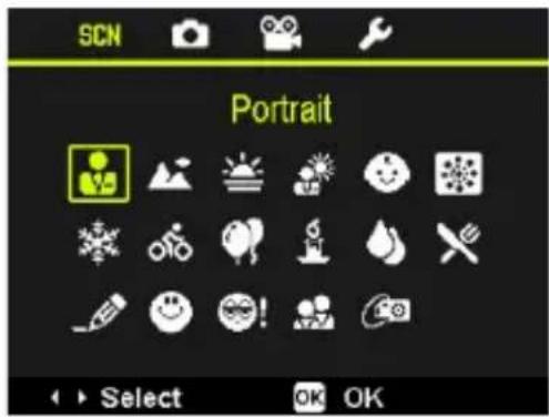 SCN Portrait Select OK OK