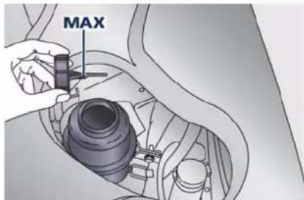 Maserati Granturismo (2019) - PowerSteeringFluidLevelCheck - 1