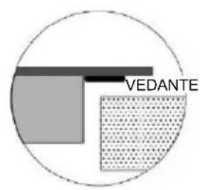 VEDANTE