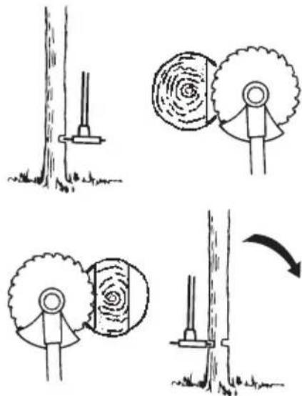 Diagram illustrating tree knotting process with labeled steps and visual illustrations