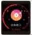 Immax Own Face - 10