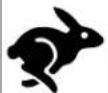 STIGA Estate 6122 HW - Engine Control Symbols and Meanings - 1