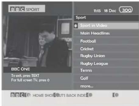 UMC X216/17C-GB-FTCD-UK - Digital TV Teletext - 2