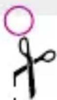 CRIVIT IAN 285912 - Garancijski list - 1