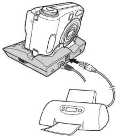SONY CSS-SA - PictBridge - 1