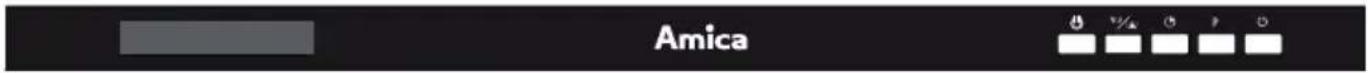 Amica